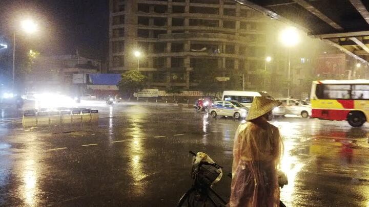 Hà Nội: Cây đổ ngổn ngang sau bão số 3